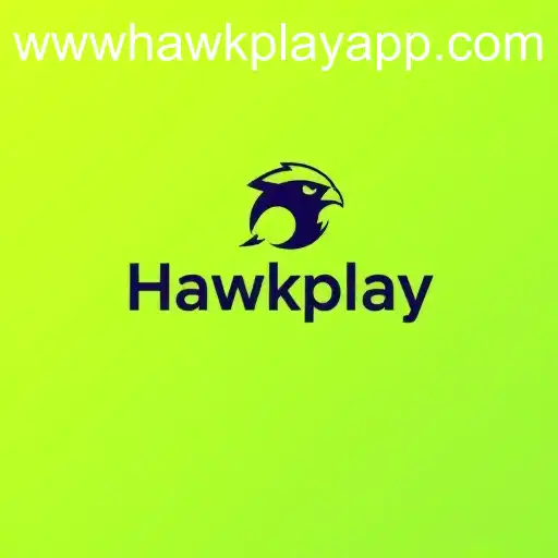 User Agreement in the Context of Hawkplay: Key Insights